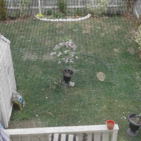 Cozy Pet Friendly Home St. John's Bagian luar foto