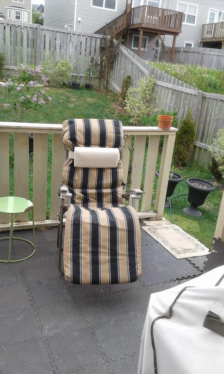 Cozy Pet Friendly Home St. John's Bagian luar foto